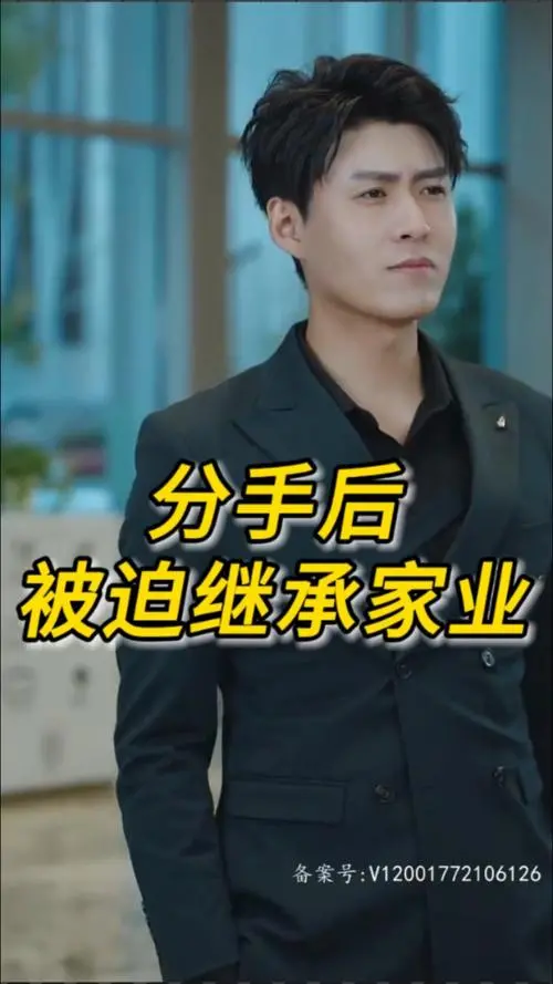 《分手后被迫继承家业》：当爱变成责任，笑泪交织的都市商战与情感纠葛