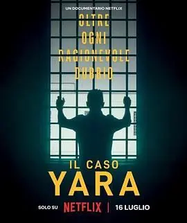 《雅拉命案 铁证背后》：迷雾重重，一场跨越时空的惊天谜案，颠覆你认知的科幻悬疑巨制