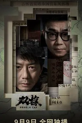 《双探》：口碑爆棚的国产悬疑佳作，双雄联手破迷案，张力十足的动作场面